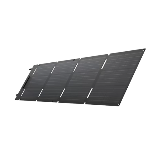 Panel Solar 60 W ECOFLOW